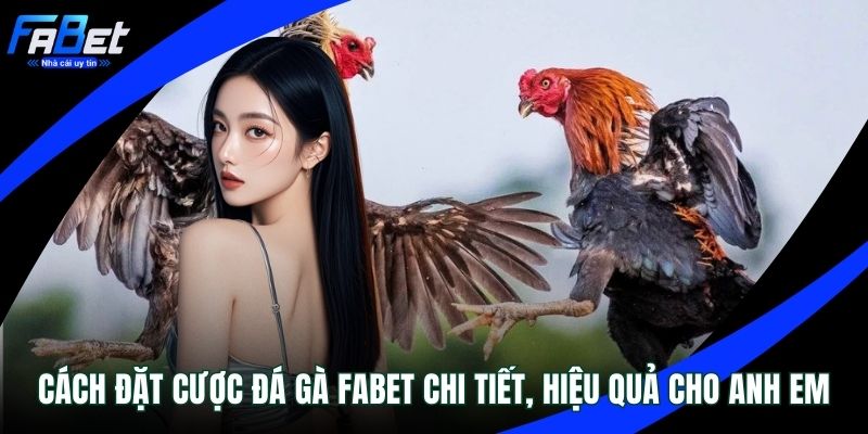 Cách đặt cược đá gà FABET