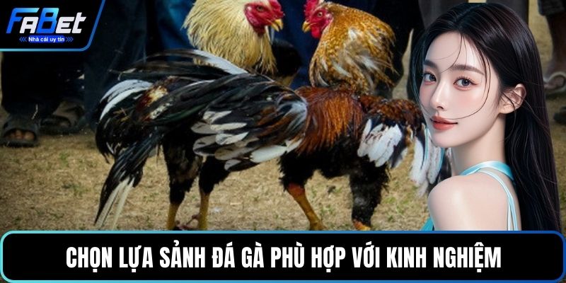 Chọn lựa sảnh đá gà phù hợp với kinh nghiệm 