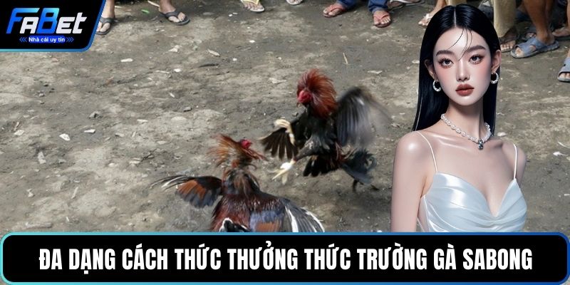 Đa dạng cách thức thưởng thức trường gà Sabong