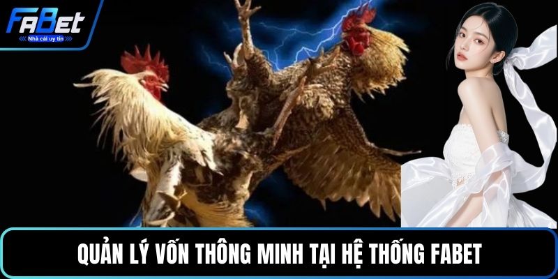 Quản lý vốn thông minh tại hệ thống FABET