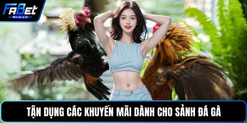 Tận dụng các khuyến mãi dành cho sảnh đá gà