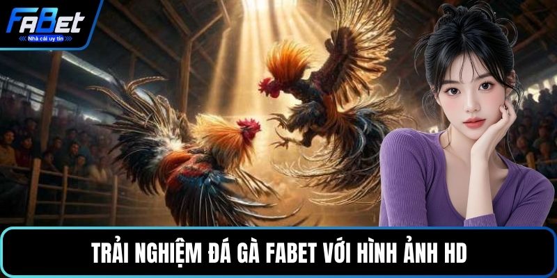 Trải nghiệm đá gà FABET với hình ảnh HD
