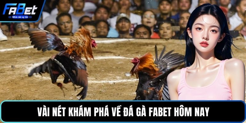 Vài nét khám phá về đá gà FABET hôm nay